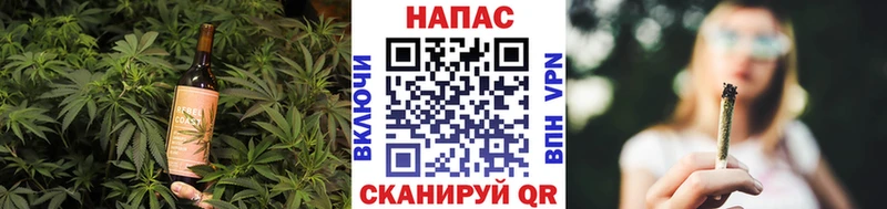 Cannafood марихуана  Усть-Джегута 