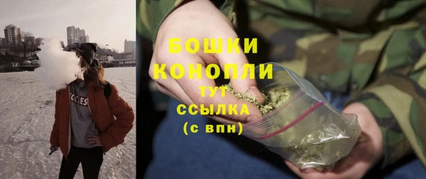 стаф Арсеньев
