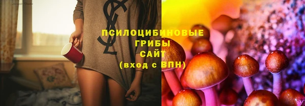 гашик Алзамай