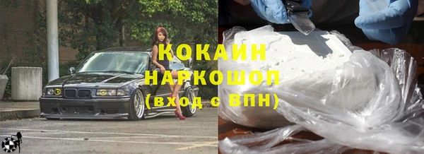гашик Алзамай