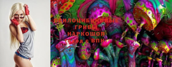 гашик Алзамай