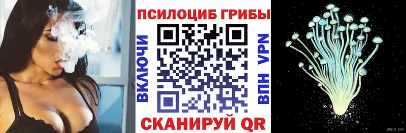 Псилоцибиновые грибы прущие грибы  маркетплейс формула  Усть-Джегута  цена наркотик 